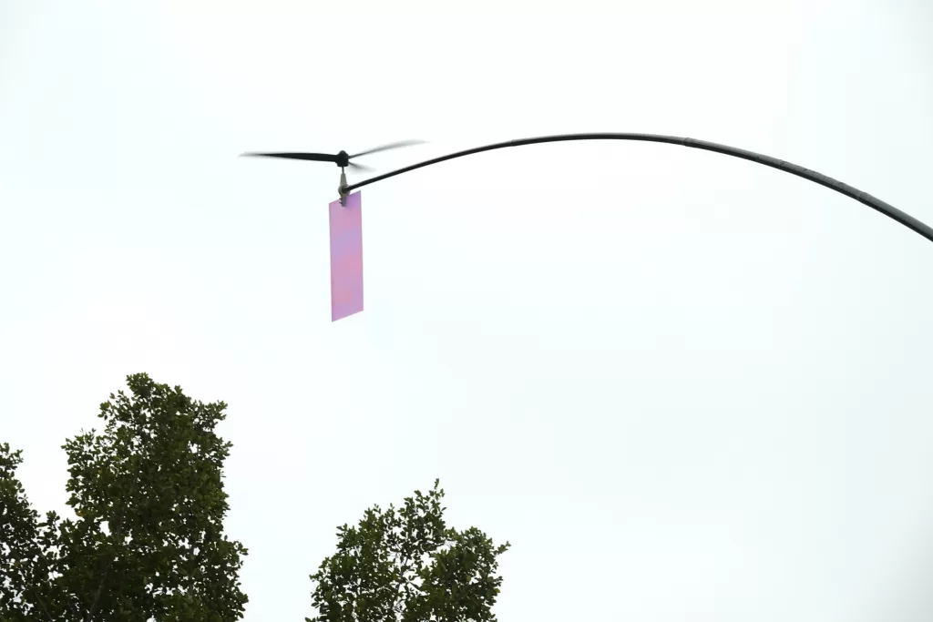 蜻蜓