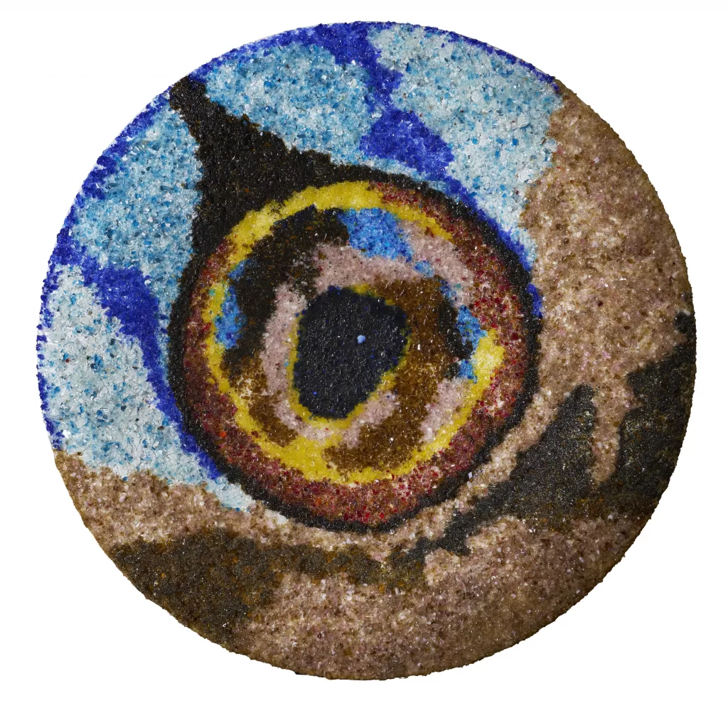 安地列斯短刺鲀 2020