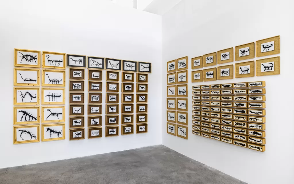 科学博物馆装置（MDS）