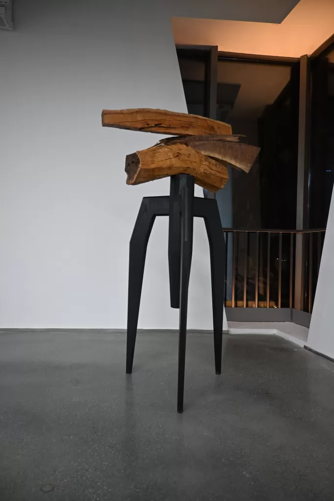 塔克拉玛干沙漠的绿洲