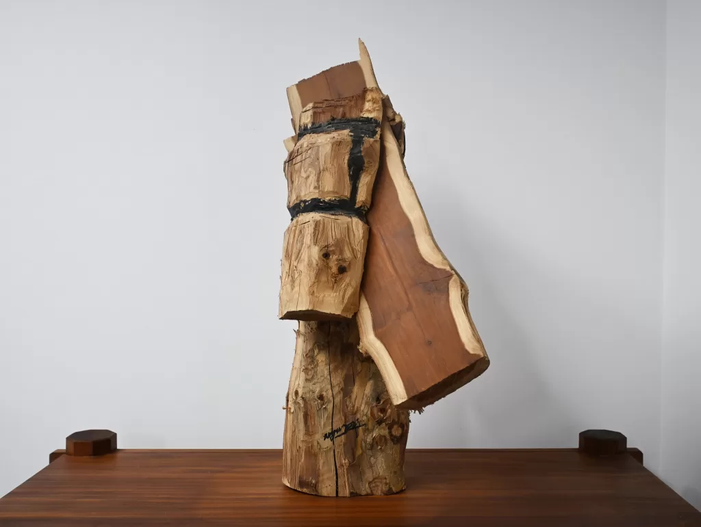 接近黎明的田地