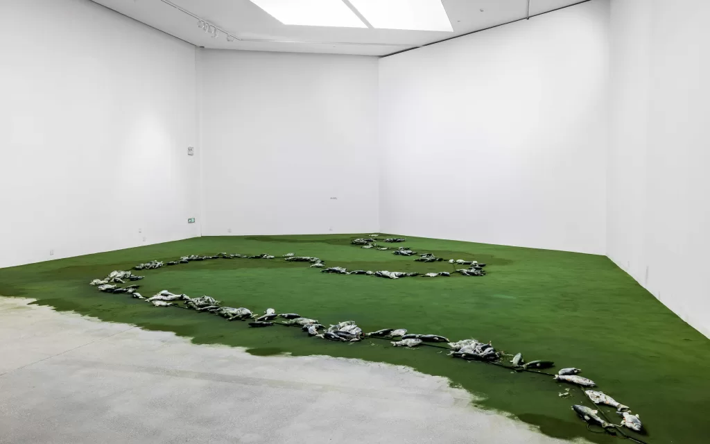 爱情之鱼和螺旋藻